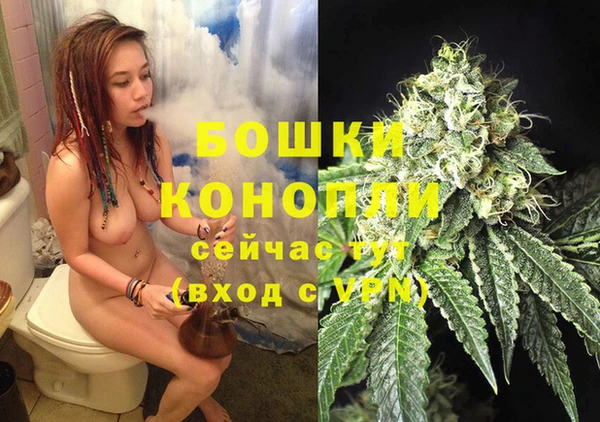 спиды Богородск