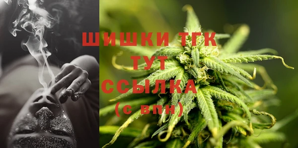 спиды Богородск