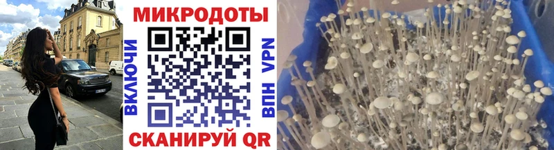 как найти   Краснознаменск  Галлюциногенные грибы ЛСД 